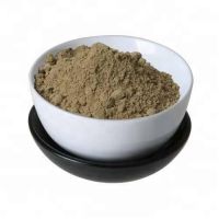 Supply New Best Quality Seaweed Powder