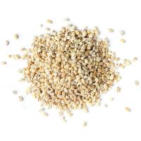  Best Quality Feed / Malting / Pearl Barley - Common and Organic for Sale