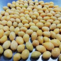 Hot Sale Best Quality Haaccp Certified Frozen Ginkgo Nut