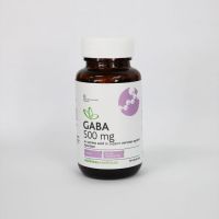 Wellness Gaba 500mg 30s