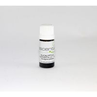 Escentia Essential Oil Eucalyptus Globulus 11ml