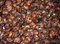 Cashew nut shell oil