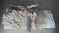 Wet/dry Salted Donkey Skin/ Salted Cow Hides