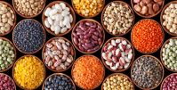 Top Quality Kidney Beans, Black Beans, Lentils, Chickpeas, Mung Beans, Soybeans Available