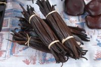 https://es.tradekey.com/product_view/2165-Xiangcaodoujia-Hot-Sale-Top-Quality-Vanilla-Beans-Madagascar-8999761.html