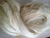 GRADE SISAL FIBER/ SISAL FIBRE / FIBER SISAL UG GRADE