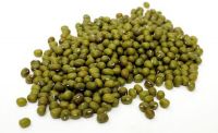 Mung Beans 