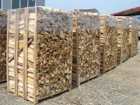 EUCALYPTUS WOOD CHIPS,Firewood