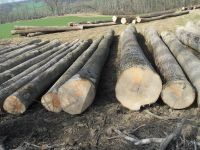 WHITE ASH LOGS