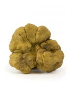 White Truffle