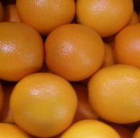 Fresh Navel Oranges, valencia, Mandarin, Tangerine, Lemons, Clementine, citrus fruits, limes, quince, grapefruit, all fruits