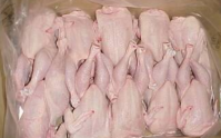 FROZEN WHOLE CHICKEN