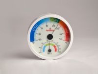 Big Dial Wall Mounted Thermometer & Hygrometer