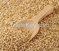Andean Grains, Quinoa, Amaranthus, Canihua, Sacha Inchi