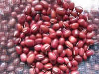 https://www.tradekey.com/product_view/Small-Red-Bean-9364765.html
