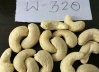 Cashew Kernels - W320