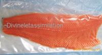  FROZEN SALMON FILLETS