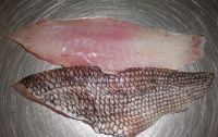 Black sea bass fillet