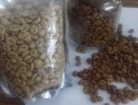  Roasted Coffee Bean with 70% Arabica and 30% Robusta 2018 