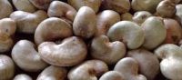 Raw Cashew Nuts