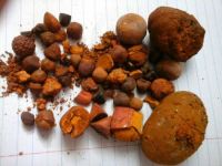 Cow gallstones