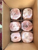 Himalayan Salt Products