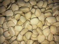 Tamarind White Kernel