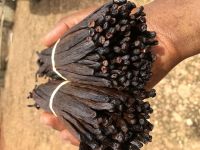 dried cocoa bean, vanilla