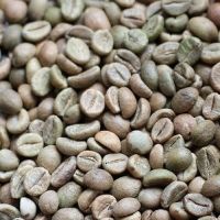 Robusta Raw Coffee