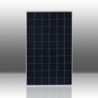 250W Polycrystalline Solar Cells / Solar Panels (Z002-QJP250-60)