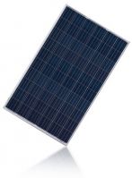 265W, 270W, 275W Polycrystalline Solar Cells / Solar Panels (Z003-LP156x156-P-60)