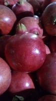 Superior Quality Pomegranate From india