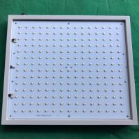 Four Colors LED Plant Growth Light with General Intensity Supplying for Agriculture Science Research