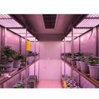 Walk-in Plant Chamber/Incubator with High Intensity LED Lighting System for Indoor Plant Growth and Science Research