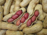 High Grade Raw Peanuts and Peanuts for Sale