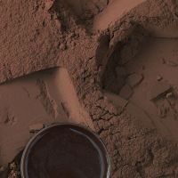 Cocoa Powder