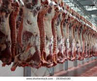 HIGH Qaulity Fozen Whole Boneless Beef Carcass