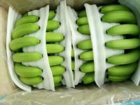 FRESH SWEET CAVENDISH BANANAS FOR SALE 