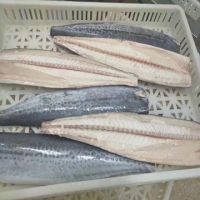 high quality frozen fish spanish mackerel fillet 