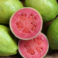 Fresh Guava 