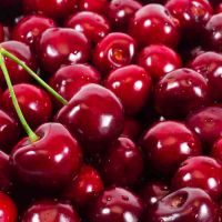 Fresh cherries 