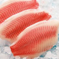 FROZEN TILAPIA FISH FILLET 