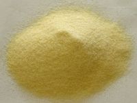 Hard Durum Wheat Semolina Flour 