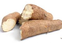 CASSAVA