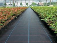 Pp Ground Cover | Woven Ground Cover