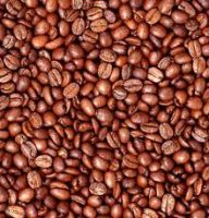 Raw and Roasted Arabica Coffee Beans
