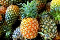 Fresh Pineapples