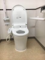 Electric toilet seat cover