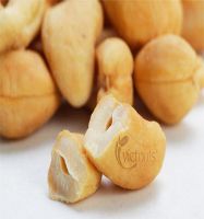 Dried Cashew nut W320v