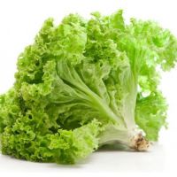 Organic Salad